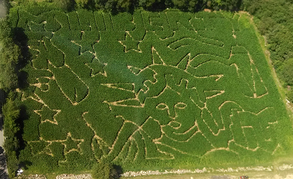 Salisbury Farm's 2015 Liberty Corn Maze