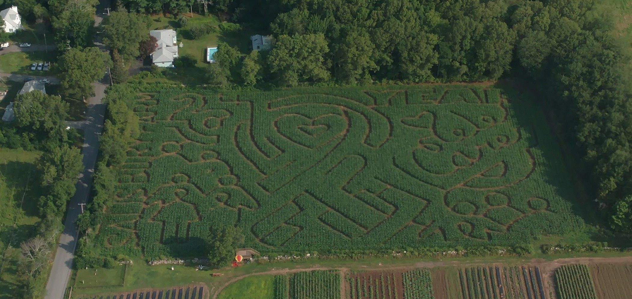 2017 Corn Maze