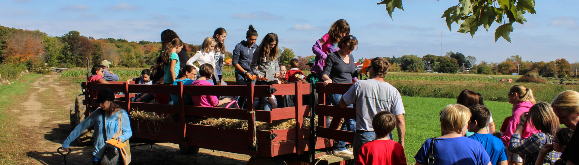 Hayride with people