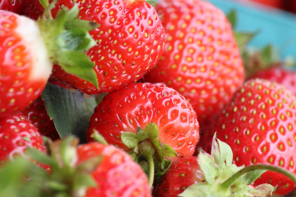 strawberries in bucket