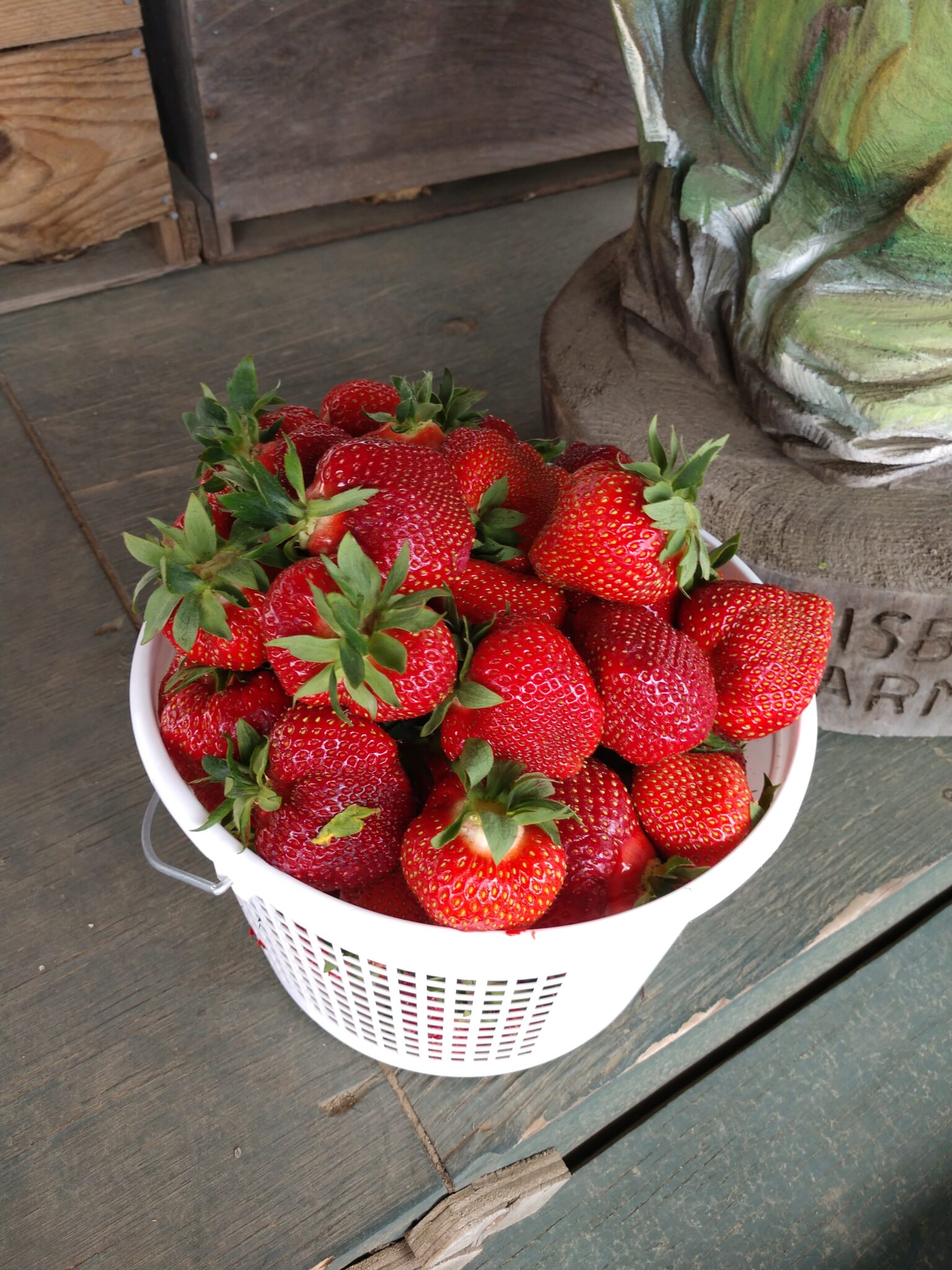 Strawberries salisbury farm